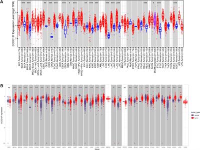 CCDC137 Is a Prognostic Biomarker and Correlates With Immunosuppressive Tumor Microenvironment Based on Pan-Cancer Analysis